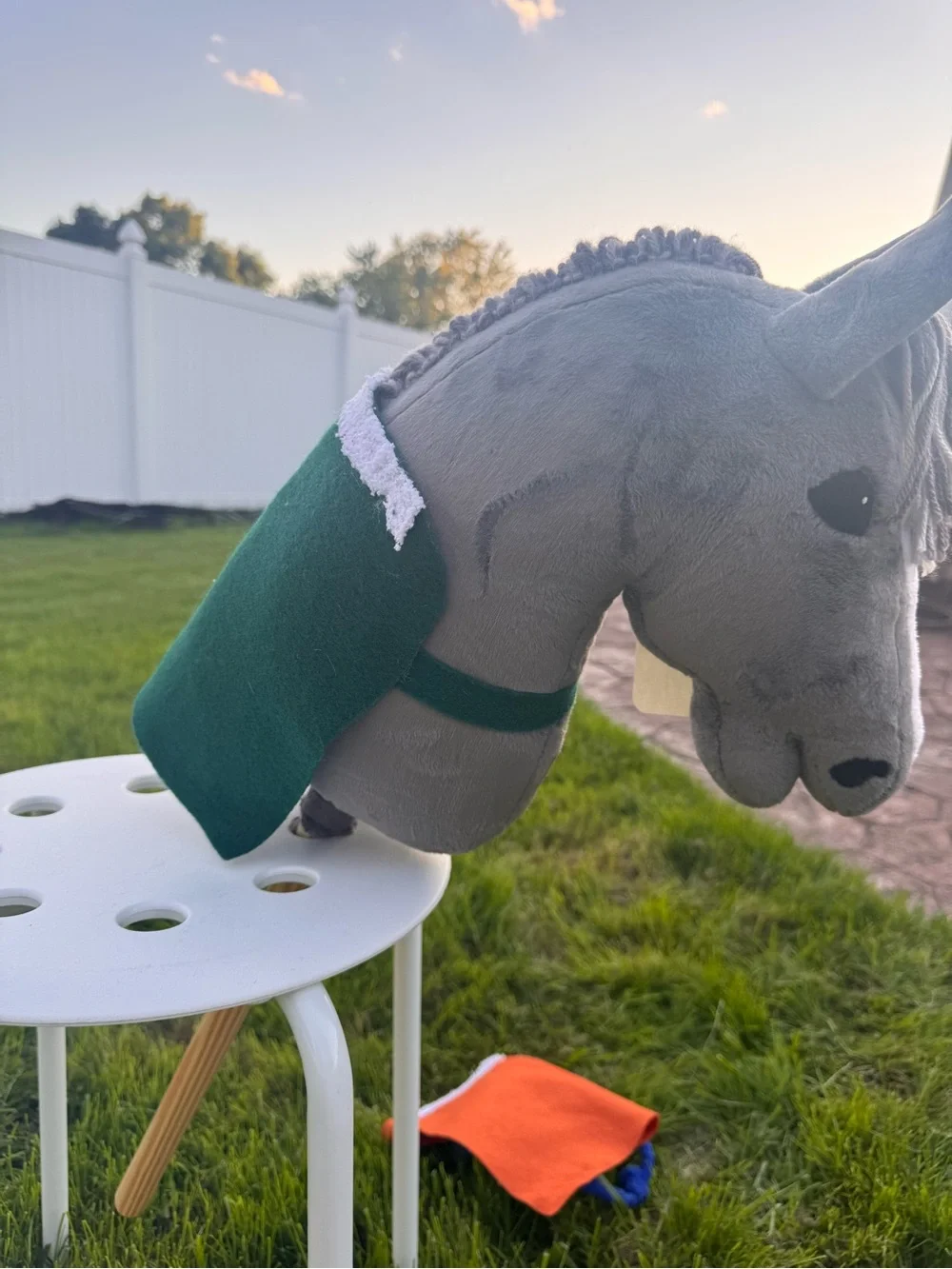 Hobby horse blanket